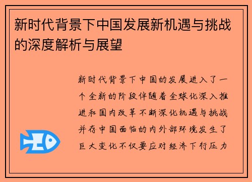 新时代背景下中国发展新机遇与挑战的深度解析与展望